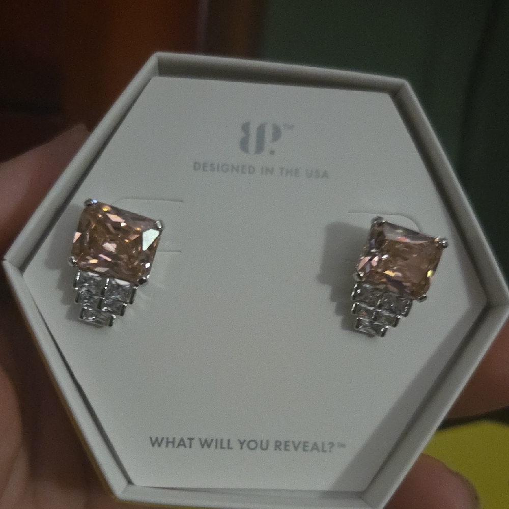 Elegant Pink and Silver Earrings